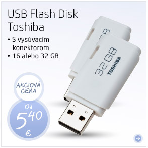 USB Flash Disk Toshiba