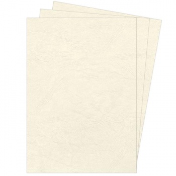 Kartónové obálky na krúžkovú väzbu Delta koža A4 slonovinové