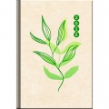 Diár týždenný FSC A5 14,2x20,4 cm - EKO 2026 