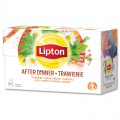 Bylinný čaj Lipton Na trávenie, 20x 1,6 g